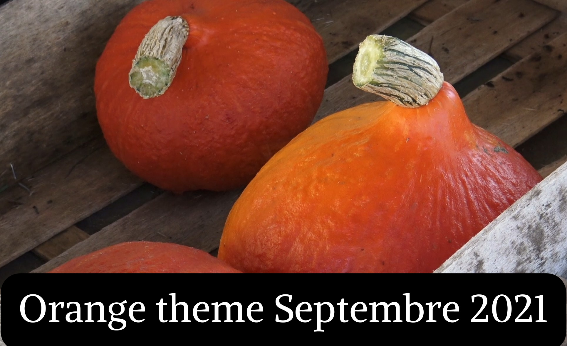 Orange theme Septembre 2021