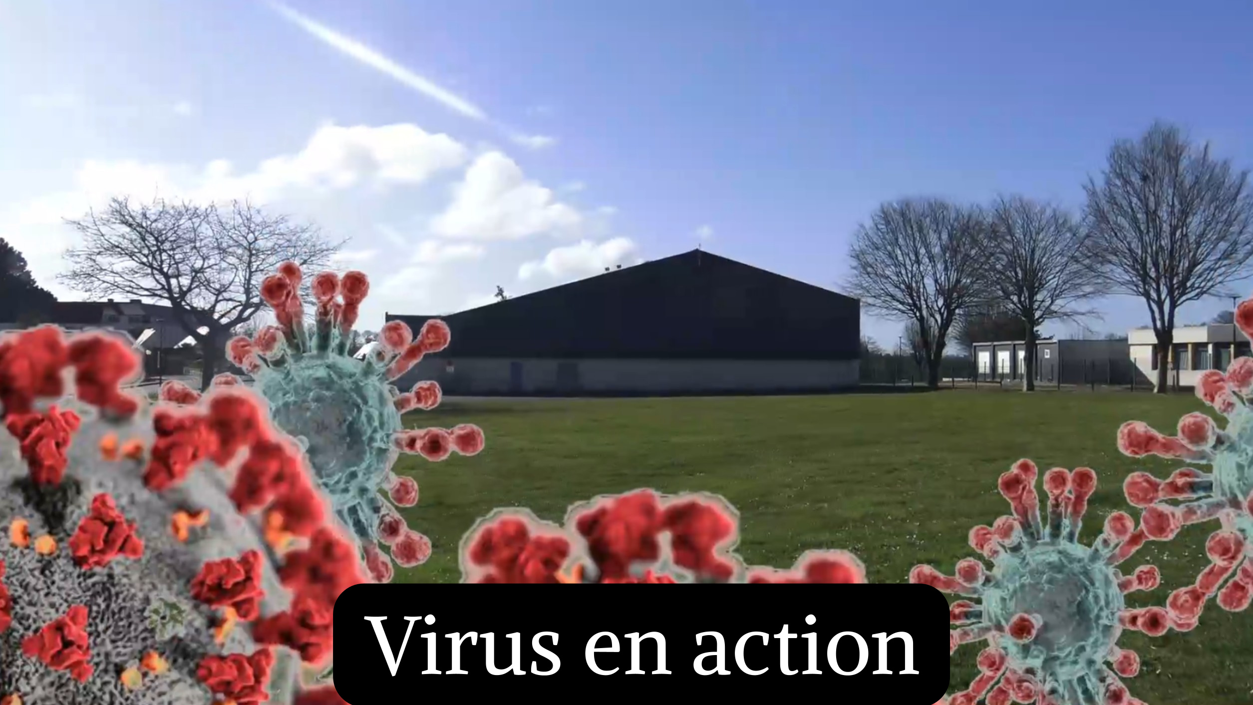 Virus en action