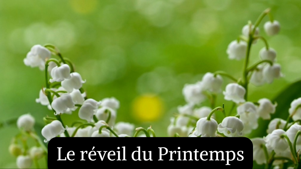 Le r&eacute;veil du Printemps