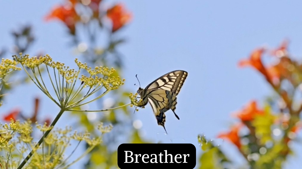 Breather