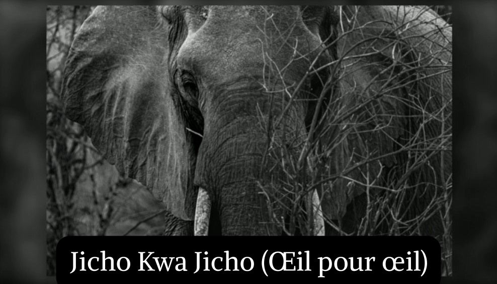 Jicho Kwa Jicho (&OElig;il pour &oelig;il)