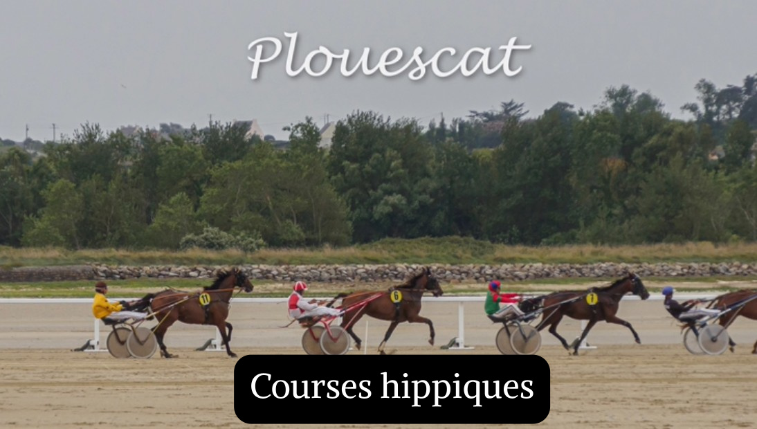 Courses hippiques