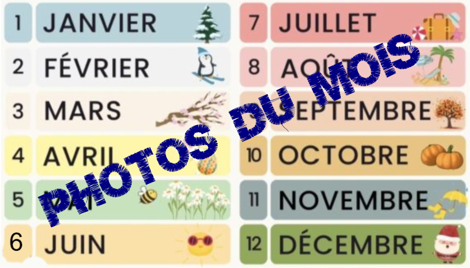 Photos du mois