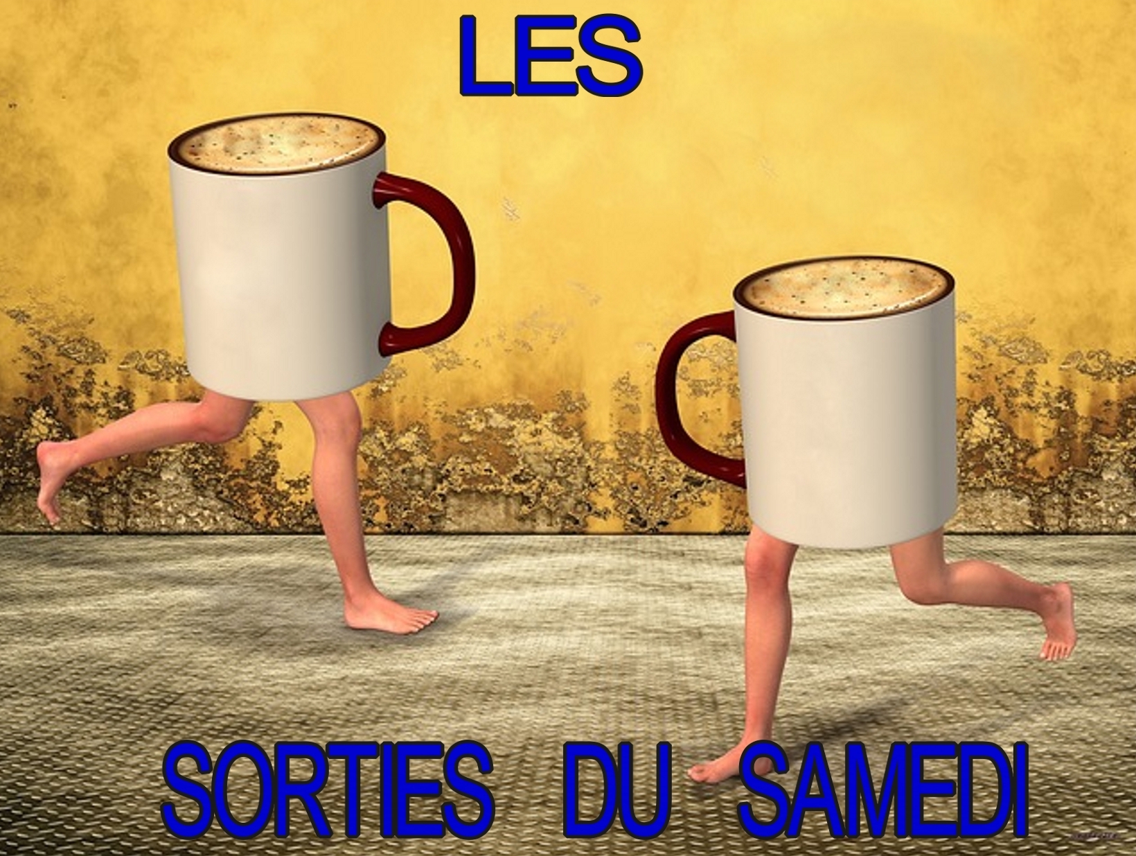 Sorties du Samedi